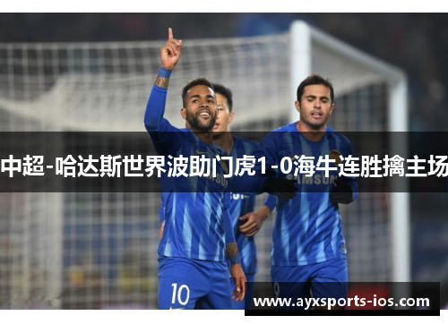 中超-哈达斯世界波助门虎1-0海牛连胜擒主场